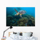 Hawksbille Sea Turtle Malaysia Coral Reef Wall Decal