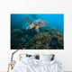 Hawksbille Sea Turtle Malaysia Coral Reef Wall Decal