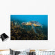 Hawksbille Sea Turtle Malaysia Close-up Wall Decal