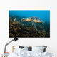 Hawksbille Sea Turtle Malaysia Close-up Wall Decal