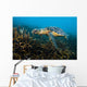 Hawksbille Sea Turtle Malaysia Close-up Wall Decal