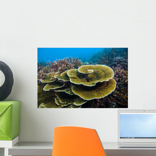 Reef Tioman Island Malaysia Wall Decal
