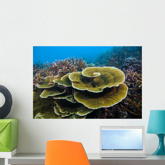 Reef Tioman Island Malaysia Wall Decal