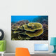 Reef Tioman Island Malaysia Wall Decal