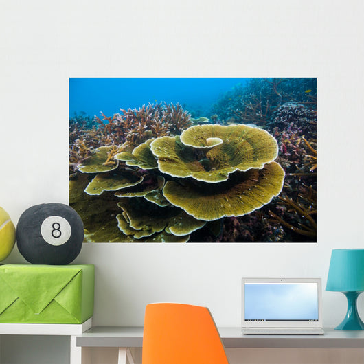 Reef Tioman Island Malaysia Wall Decal