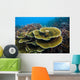 Reef Tioman Island Malaysia Wall Decal