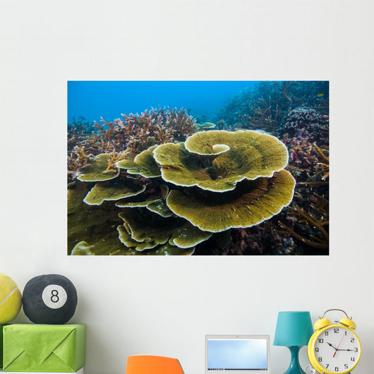 Reef Tioman Island Malaysia Wall Decal