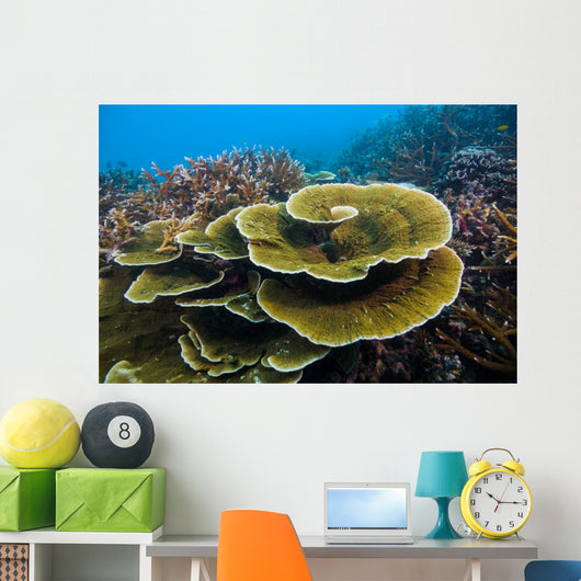 Reef Tioman Island Malaysia Wall Decal
