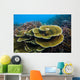 Reef Tioman Island Malaysia Wall Decal