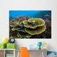Reef Tioman Island Malaysia Wall Decal