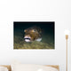 Starry Puffer Tioman Island Wall Decal
