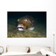 Starry Puffer Tioman Island Wall Decal