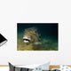Starry Puffer Tioman Island Close-up Wall Decal