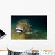 Starry Puffer Tioman Island Close-up Wall Decal