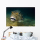 Starry Puffer Tioman Island Close-up Wall Decal