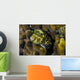 Map Puffer Blends with Wall Decal