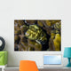 Map Puffer Blends with Wall Decal
