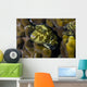 Map Puffer Blends with Wall Decal