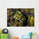 Map Puffer Blends with Wall Decal