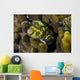 Map Puffer Blends with Wall Decal