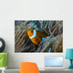 False Clownfish and Anemone Close-up Wall Decal