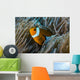 False Clownfish and Anemone Close-up Wall Decal