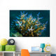 Macro Coral Malaysia Horizontal Wall Decal