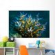 Macro Coral Malaysia Horizontal Wall Decal
