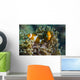 False Clownfish and Anemone Wall Decal