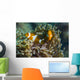 False Clownfish and Anemone Wall Decal