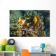 False Clownfish and Anemone Wall Decal