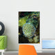 Macro Coral Malaysia Wall Decal