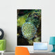 Macro Coral Malaysia Wall Decal