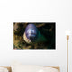 White Eyed Moray Eel Wall Decal
