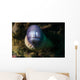 White Eyed Moray Eel Wall Decal