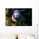White Eyed Moray Eel Wall Decal