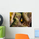 Orange Anemonefish Tioman Island Wall Decal