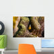 Orange Anemonefish Tioman Island Wall Decal
