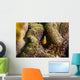 Orange Anemonefish Tioman Island Wall Decal