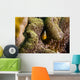 Orange Anemonefish Tioman Island Wall Decal