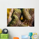 Orange Anemonefish Tioman Island Wall Decal