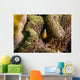 Orange Anemonefish Tioman Island Wall Decal
