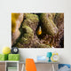 Orange Anemonefish Tioman Island Wall Decal