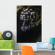 Spotted Moray Eel Hides Wall Decal