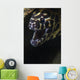 Spotted Moray Eel Hides Wall Decal