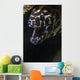 Spotted Moray Eel Hides Wall Decal