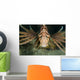 Red Lionfish Malaysia Close-up Wall Decal