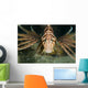 Red Lionfish Malaysia Close-up Wall Decal