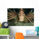 Red Lionfish Malaysia Close-up Wall Decal
