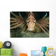 Red Lionfish Malaysia Close-up Wall Decal